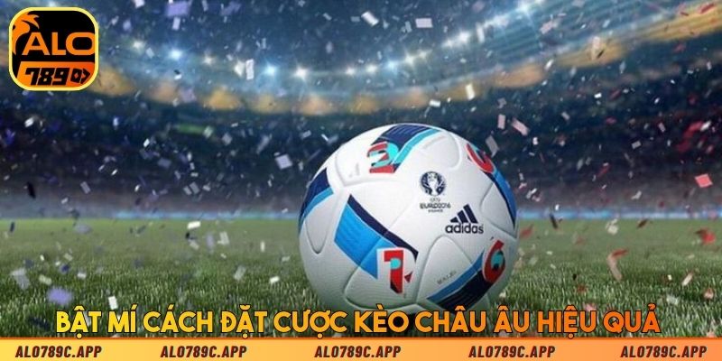 Bật mí cách đặt cược kèo châu Âu hiệu quả