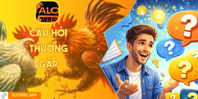 câu hỏi thường gặp