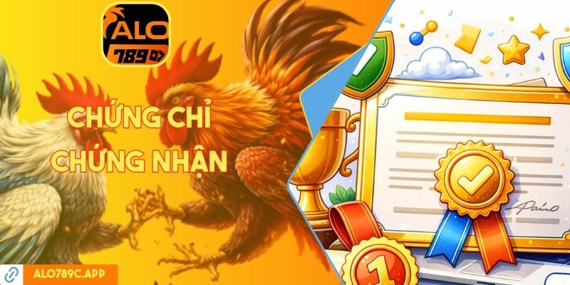 Chứng chỉ chứng nhận