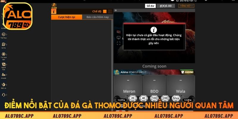 Điểm nổi bật của đá gà Thomo được nhiều người quan tâm