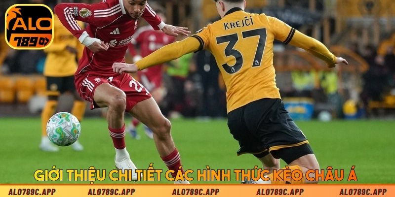 Giới thiệu chi tiết các hình thức kèo châu Á 