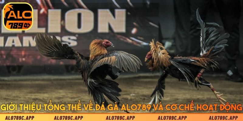 Giới thiệu tổng thể về đá gà Alo789 và cơ chế hoạt động