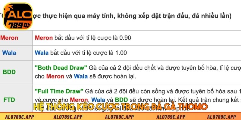 Hệ thống kèo cược trong đá gà Thomo
