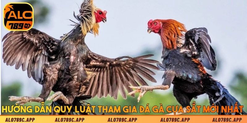 Hướng dẫn quy luật tham gia đá gà cựa sắt mới nhất 