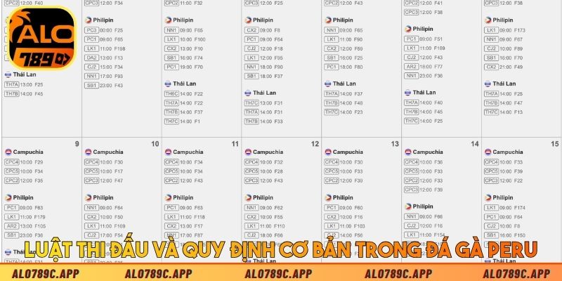 Luật thi đấu và quy định cơ bản trong đá gà Peru